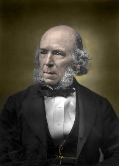 Portrait of Herbert Spencer by English School